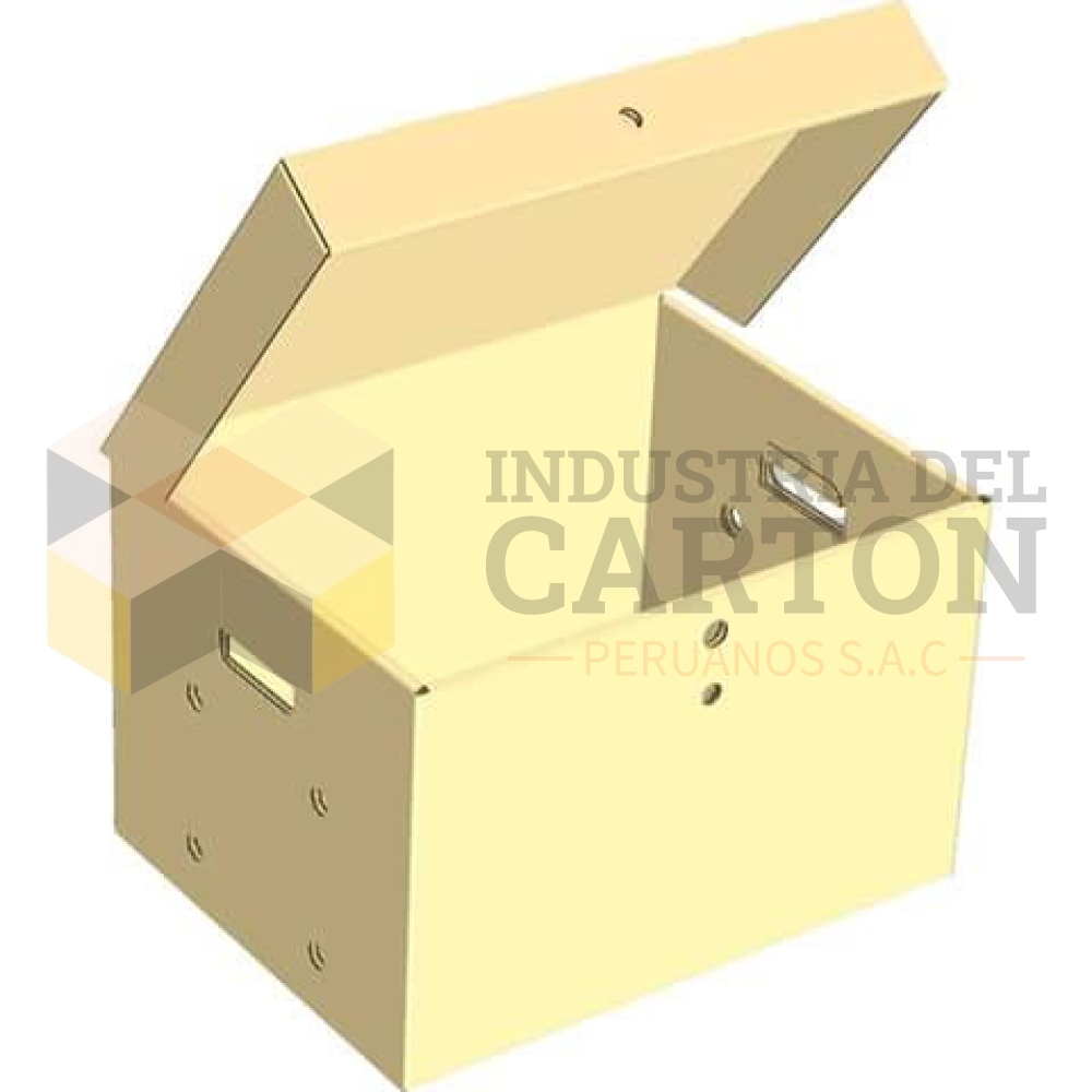 Caja de Archivo Reforzada