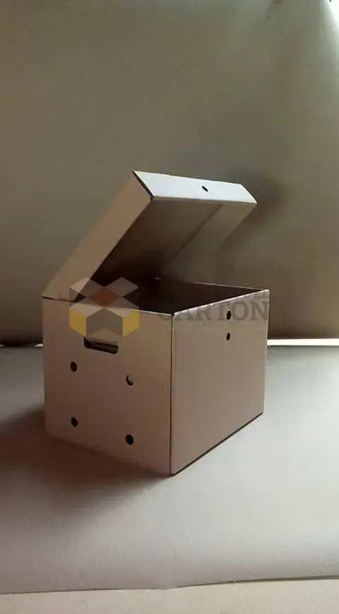 Cajas de Archivo view